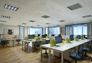 广州羊奶ODM加工哪家好