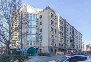 长宁区室内绿植花卉租赁供应